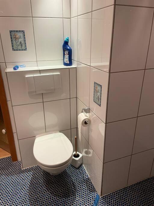 Apartment Im Pfaelzerwald Lambrecht  Dış mekan fotoğraf